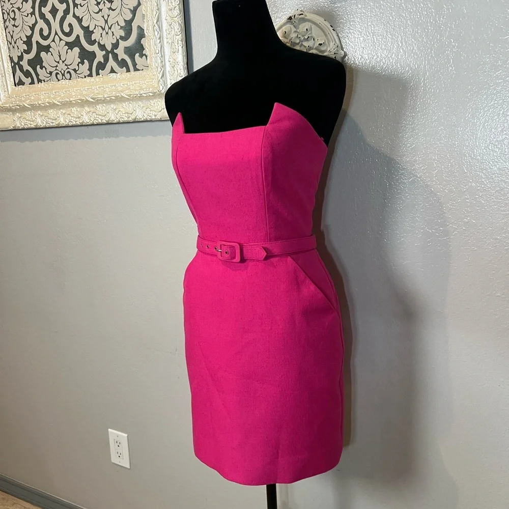 Victor Costa Vibrant Pink Strapless Sheath Dress with Belt - Picture 6 of 12
